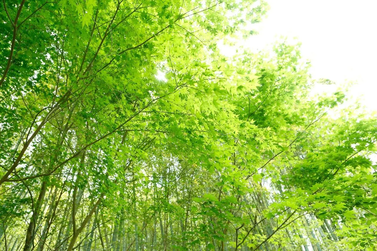 하쿠운소우 호텔 유오가와라 4*,  일본